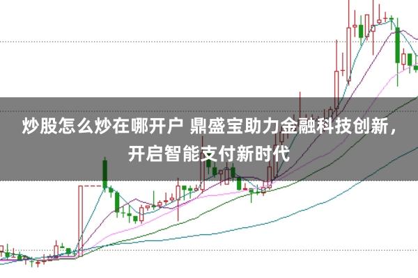 炒股怎么炒在哪开户 鼎盛宝助力金融科技创新，开启智能支付新时代