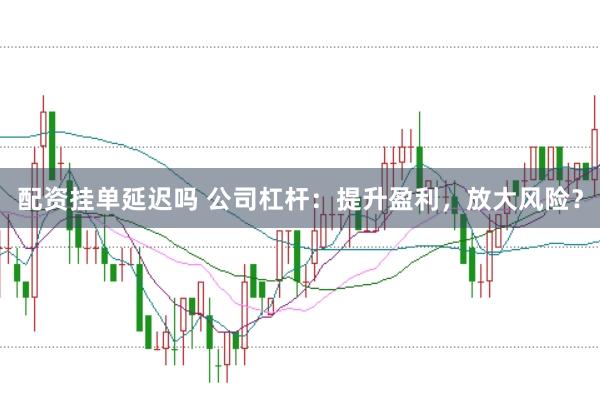 配资挂单延迟吗 公司杠杆：提升盈利，放大风险？