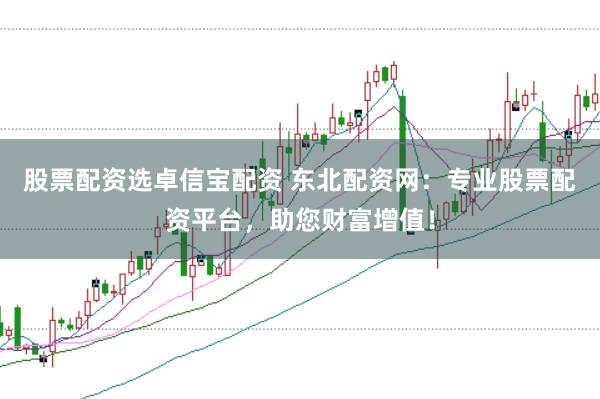 股票配资选卓信宝配资 东北配资网：专业股票配资平台，助您财富增值！