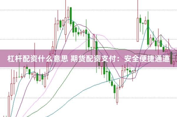 杠杆配资什么意思 期货配资支付:安全便捷通道