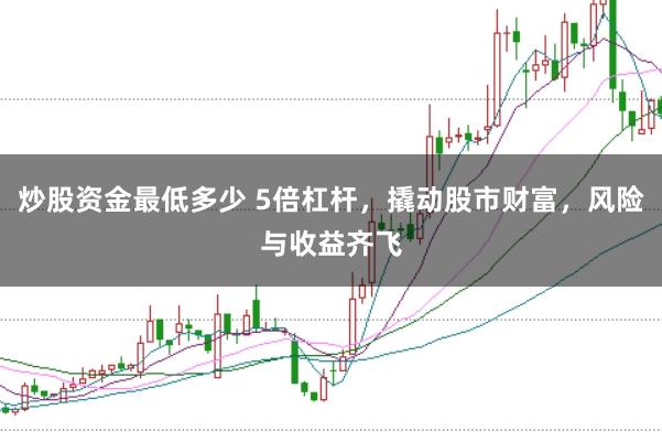 炒股资金最低多少 5倍杠杆，撬动股市财富，风险与收益齐飞