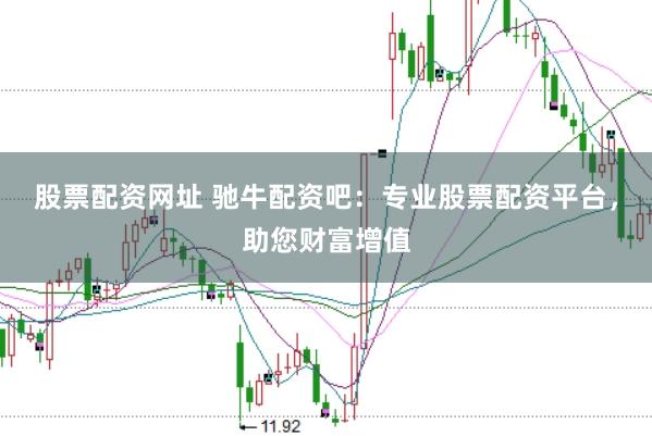 股票配资网址 驰牛配资吧：专业股票配资平台，助您财富增值