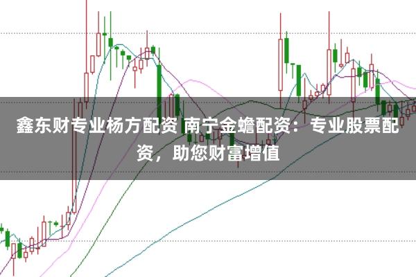 鑫东财专业杨方配资 南宁金蟾配资：专业股票配资，助您财富增值