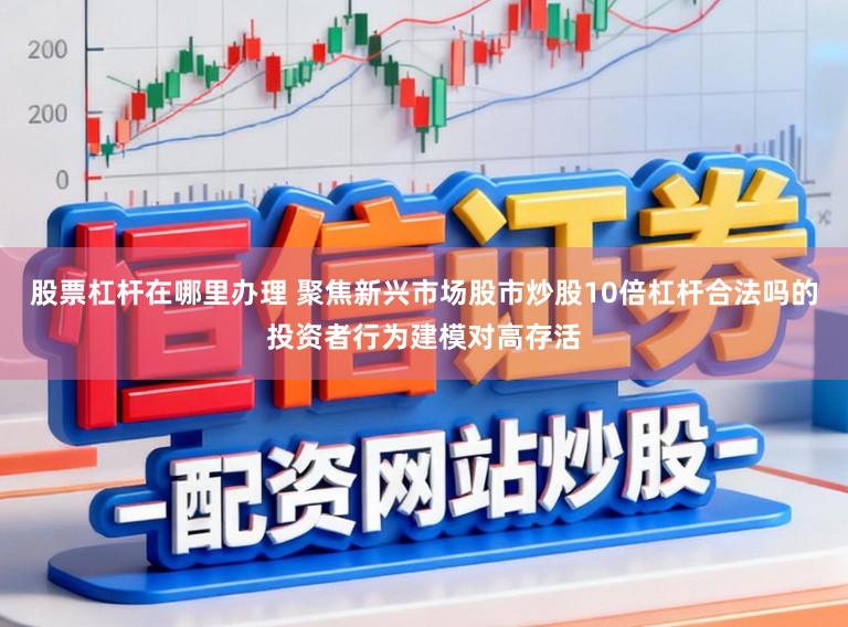 股票杠杆在哪里办理 聚焦新兴市场股市炒股10倍杠杆合法吗的投资者行为建模对高存活